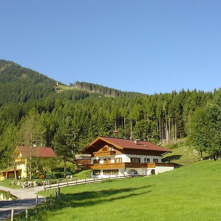 Апартаменти Landhaus Dickhardt Шладмінг Екстер'єр фото